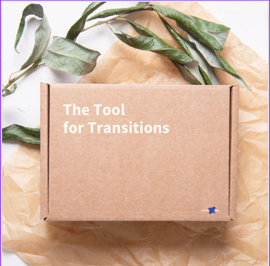 The Tool for Transitions